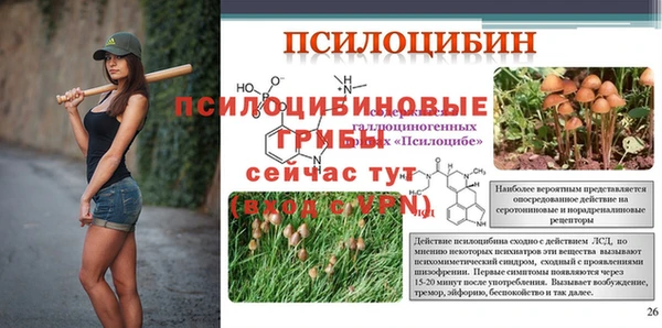 бутират Алексин