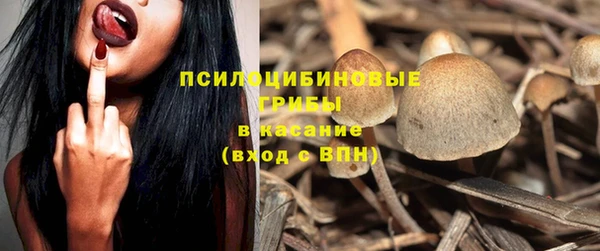 каннабис Алзамай