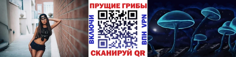 shop какой сайт  Челябинск  Галлюциногенные грибы Cubensis 